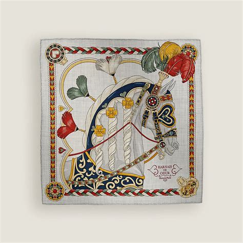 02034147001093 hermes|Harnais de Coeur scarf 45 .